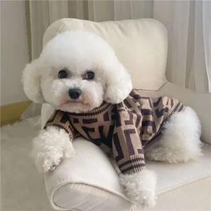 Dog cloth