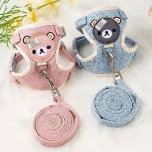 Update Kittens Collar Supplies For Cats Small Breeds Pets Collars Kitten Products Pet Puppy Harness Things